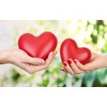 Option 6: Love, Relationship, Marriage & Match