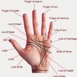 Option 4 : Palmistry Consulting