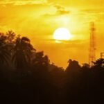 read about virgo, virgoan or kanya rashi