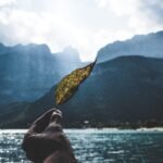 #zodiacsign #zodiacpost #leo #libra #libran #tularashi #iamleo #astrology #horoscope #dailyhoroscope