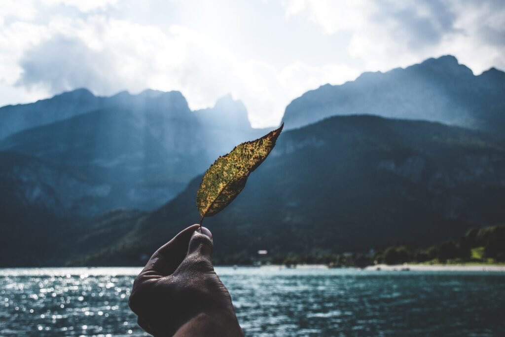 #zodiacsign #zodiacpost #leo #libra #libran #tularashi #iamleo #astrology #horoscope #dailyhoroscope