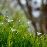 read about scorpio zodiac sign or vrishcik rashi