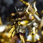 read about a sagittarius or dhanu rashi